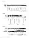 Fig. 10 - ANTIBODY DRUG CONJUGATES
