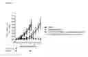 Fig. 16 - ANTIBODY DRUG CONJUGATES