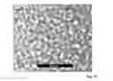 Fig. 08 - Nanostructures and applications thereof
