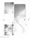 Fig. 02 - COMPOSITIONS AND METHODS USING STEM CELLS IN CUTANEOUS WOUND HEALING