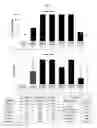 Fig. 04 - Nanofiber paste for growth factor delivery and bone regeneration
