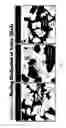 Fig. 06 - Moldable bone graft compositions