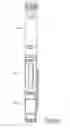 Fig. 34 - Needle changing apparatus