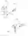 Fig. 02 - Respiratory medicament nebulizer system