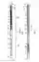 Fig. 02 - MRI-compatible guidewire
