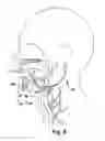Fig. 08 - System and method for treating obstructive sleep apnea