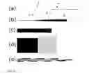 Fig. 04 - Implantable, highly collimated light-emitters for biological applications