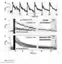 Fig. 14 - Implantable, highly collimated light-emitters for biological applications