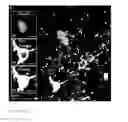 Fig. 15 - Implantable, highly collimated light-emitters for biological applications