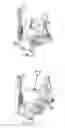 Fig. 16 - Functional training equipment with multiple movement planes for biceps curl exercise