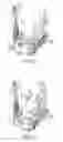 Fig. 24 - Functional training equipment with multiple movement planes for biceps curl exercise