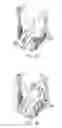 Fig. 25 - Functional training equipment with multiple movement planes for biceps curl exercise
