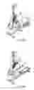 Fig. 41 - Functional training equipment with multiple movement planes for biceps curl exercise