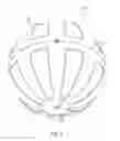 Fig. 03 - Vibrating fitness ball
