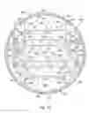 Fig. 13 - Vibrating fitness ball
