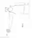 Fig. 26 - Vibrating fitness ball