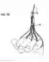 Fig. 13 - Surfboard paddling exercise apparatus