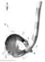 Fig. 06 - Water ride
