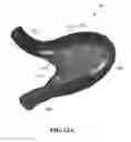 Fig. 33 - Water ride