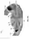 Fig. 42 - Water ride