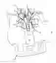 Fig. 11 - Portable pressurized sprayer