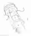 Fig. 12 - Portable pressurized sprayer