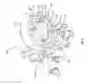 Fig. 10 - Systems and apparatuses for applying glutinous substances