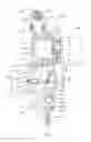 Fig. 07 - Apparatuses for applying glutinous substances