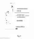 Fig. 04 - Method of joining metals and non-metals with foil and products so joined
