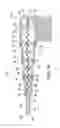 Fig. 18 - Toothbrush with an extendable handle