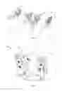 Fig. 03 - ROBOTIC INSPECTION DEVICE