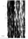 Fig. 08 - Seals for stretchable films