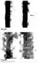 Fig. 05 - Preventing bleeding of multi-color print by in-line jetting