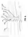 Fig. 07 - Active grille shutter