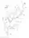 Fig. 02 - Vehicle floor lower structure