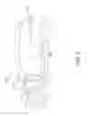 Fig. 04 - Vehicle rear illumination system