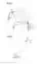 Fig. 02 - Vehicle occupant restraint device