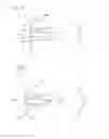 Fig. 10 - Airbag and method for operating a vehicle occupant protection system