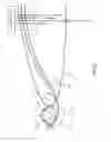 Fig. 08 - Airbags including internal tethers and methods of forming the same