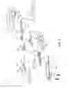 Fig. 03 - Load indicators for personal restraint systems and associated systems and methods