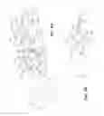 Fig. 09 - Load indicators for personal restraint systems and associated systems and methods