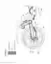 Fig. 10 - Electric bicycle transmission systems, methods, and devices