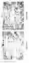 Fig. 19 - High-forming multi-layer aluminum alloy package