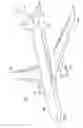 Fig. 02 - Walking robot