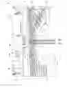 Fig. 14 - Floating catamaran production platform