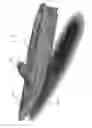 Fig. 02 - Adjustable kayak seat