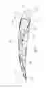 Fig. 03 - Frame device for a profiled sail device and profiled sail device