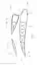 Fig. 04 - Frame device for a profiled sail device and profiled sail device