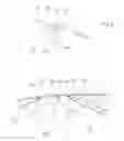 Fig. 06 - Frame device for a profiled sail device and profiled sail device