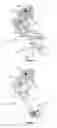 Fig. 07 - Outboard motor